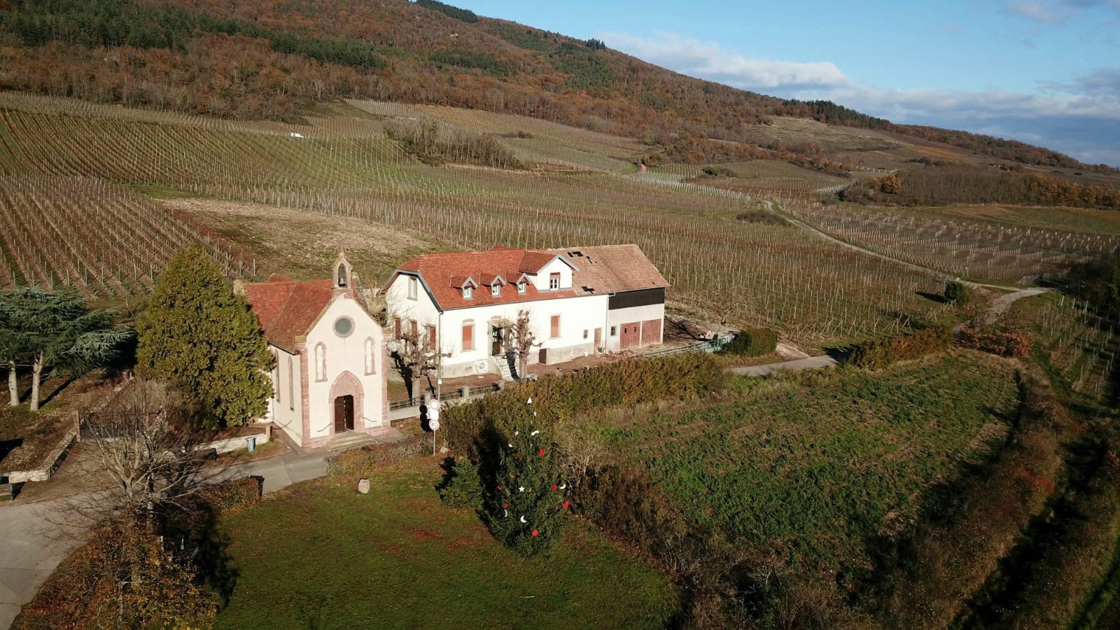 Le domaine Au Taennel en Alsace